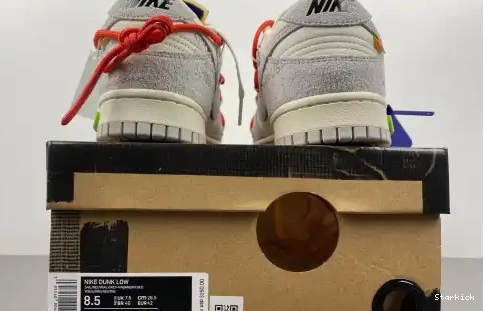 DJ0950-110 Dunk Nike Lot O-W Low 13 0526
